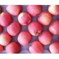 Golden Supplier of Fresh Red FUJI Apple Counts 100-113-125